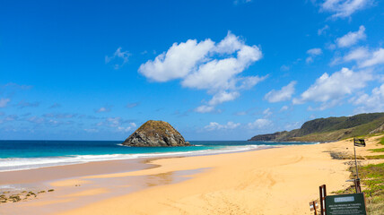 Praia do Leão exibe mar azul cristalino, céu limpo e areia dourada cercada por morros verdes, formando cenário tropical perfeito para ecoturismo e contemplação