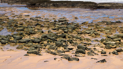 Pedras espalhadas pela areia da Praia do Leão em Fernando de Noronha, Brasil, com o mar ao fundo. Um cenário natural que revela a força da costa atlântica
