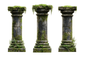 Three weathered stone pillars, overgrown with moss (1)