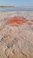 A vast salt flat with patches of pink salt. The landscape is dry and barren, showcasing the unique texture and color variations of the crust.