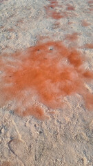 A close-up view of a sandy surface with reddish-brown patches. The texture is rough and uneven, showcasing natural earth tones and patterns.
