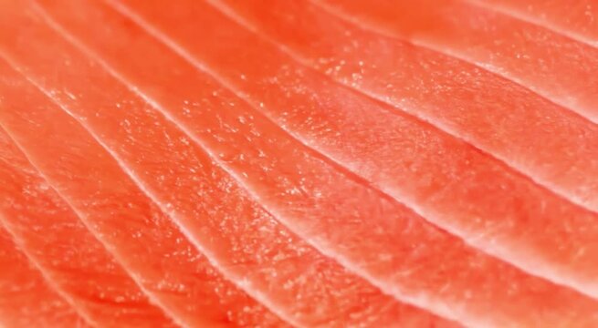 Close up of salmon fillet