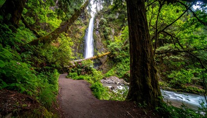 Obraz premium Lush green foliage surrounds a cascading waterfall, creating a tranquil pathway through a dense forest.