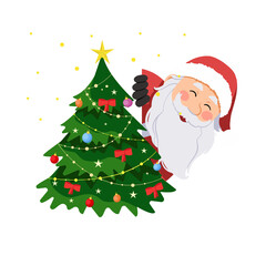 Santa claus peeking behind christmas tree isolated on transparent background