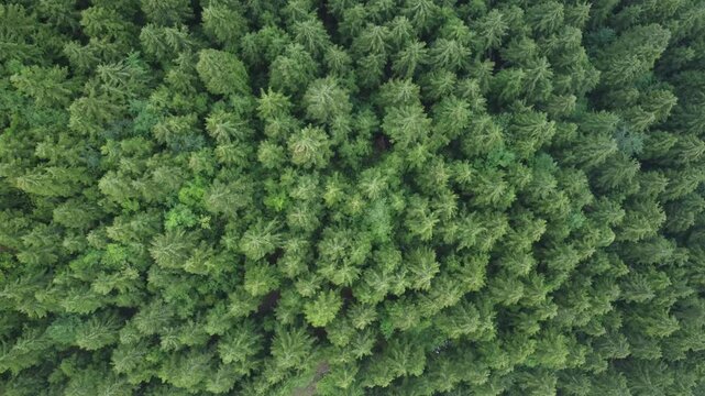 Trabzon Ma&ccedil;ka Drone
