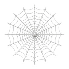 Obraz premium Intricate silver spiderweb design isolated on transparent background