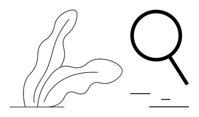 Magnifying glass beside abstract plant element representing exploration, analysis, and nature. Ideal for search, research, discovery, eco-awareness, minimal branding, data analysis simple landing