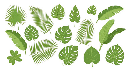 Vibrant green tropical leaves vector set: monstera palm and banana leaf illustrations flat design style.