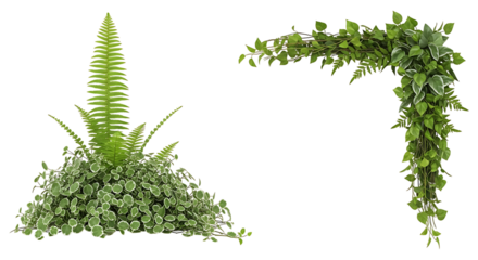 Green Fern and Vines Corner Arrangement.