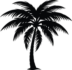 Coconut Palm Silhouette