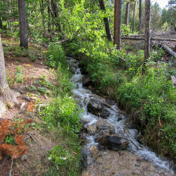 Rushing stream in Montana