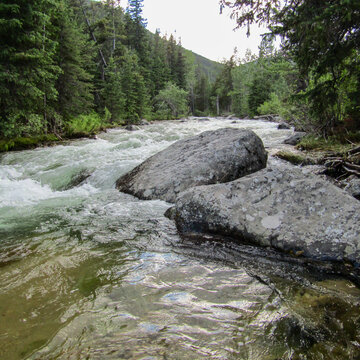 Rushing river in Montana
