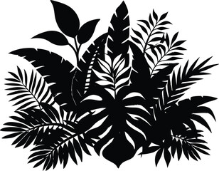 Rainforest Foliage Silhouette