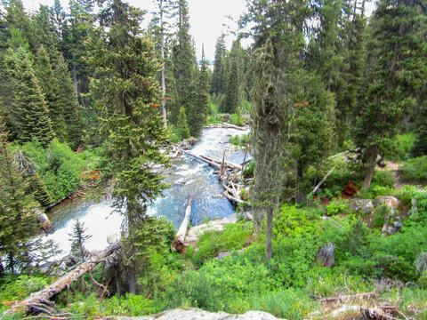 Rushing river in Grand Teton National Park, Wyoming