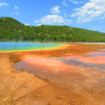 Grand Prismatic Spring in Yellowstone National Park, Montana