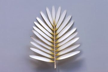 A single white palm leaf with yellow stem lying flat on a gray background in a studio setting centered