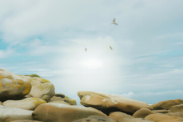 A scenic view of rocky landscape with birds flying in a bright cloudy sky on a sunny day at the coast