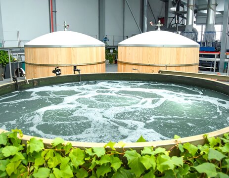 Industrial fermentation tanks, bubbling liquid