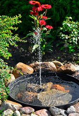 źródełko w ogrodzie, mini fontanna solarna otoczona kamieniami i zielonymi roślinami, tryskający strumień wody z małej fontanny ogrodowej, a solar fountain in a small bowl in the garden  © kateej