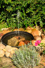 źródełko w ogrodzie, mini fontanna solarna otoczona kamieniami i zielonymi roślinami, tryskający strumień wody z małej fontanny ogrodowej, a solar fountain in a small bowl in the garden  © kateej