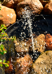 tryskajace źródełko, krople wody ze źródełka, krople wody z małej fontanny ogrodowej, a gushing spring, drops of water from the spring,	