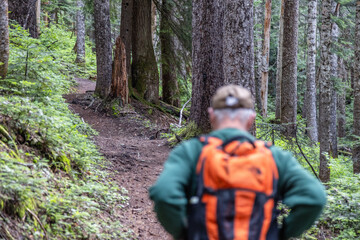 Obraz premium hiking in the woods