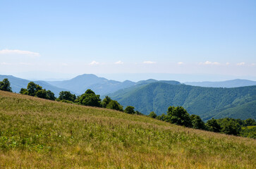 Tranquil mountain scene featuring rolling green hills under a bright, clear sky with sunlight. Ideal representation of serenity and harmony in natural surroundings. Carpathian Mountains, Ukraine