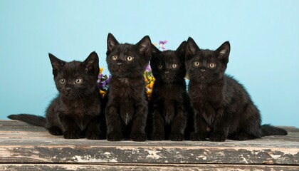 Cute black kittens with flowers