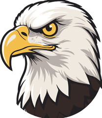 american bald eagle