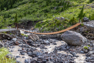 stream in the forest