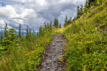 path in the mountains