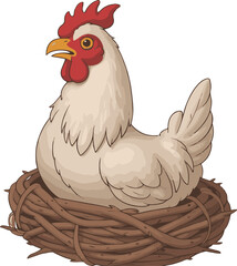 rooster isolated on white