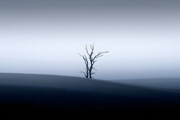 Solitary bare tree in a misty landscape lonely dead
