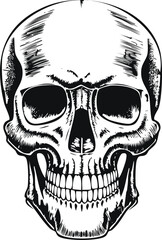The Engraving of a Skull