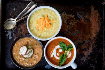 Bowls of soup in white ceramic bowls, tomato, cream of mushroom and cream of broccoli with cheddar cheese