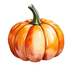 Watercolor pumpkin isolated on white background, hand painted autumn harvest vegetable illustration, organic farm food clipart PNG with transparent background for fall design