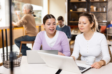 Obraz premium Two calm caucasian women sitting in cafe diligently doing their work on laptop