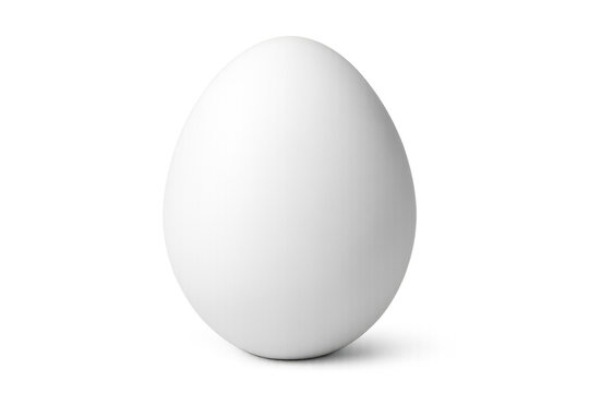 Single white egg standing on transparent background with slight shadow