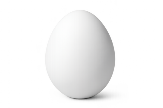 Single white egg standing on transparent background with slight shadow