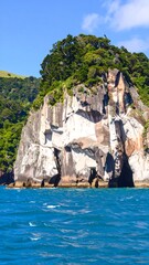 Rocky outcrop with lush foliage