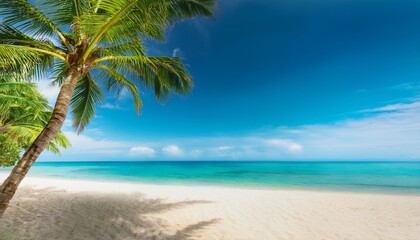 Fototapeta premium an idyllic tropical beach with palm trees on a sea sky background with space for copy with a summer vacation and travel theme