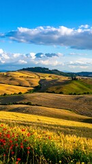 Fototapeta premium Rolling hills, golden fields, wildflowers