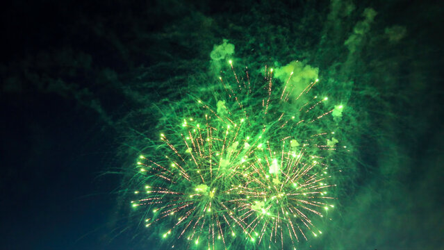 Bright green fireworks exploding in the night sky