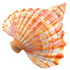 Fototapeta premium Vibrant seashell close-up