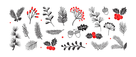 Christmas branch plant, winter pine, leaf and holly berry. Xmas tree, pine cone, fir, mistletoe. Black, red floral silhouette, holiday hand draw set isolated on white background. Vector illustration © Sylfida