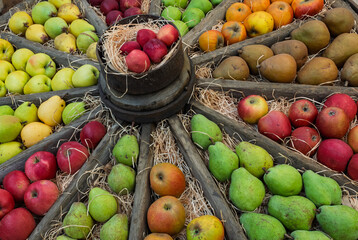 Äpfel und Birnen in einem alten Wagenrad