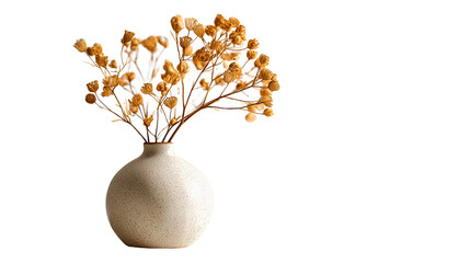 modern ceramic vase with dry flowers, isolated on white background png  © HavingFunShop