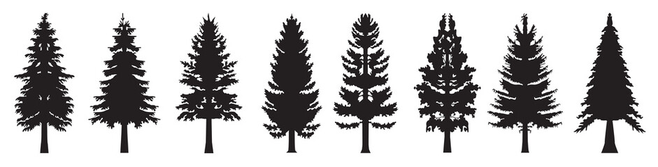  pine tree silhouette design template