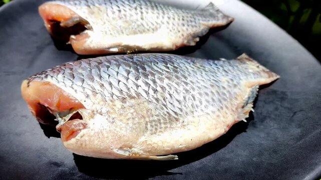 Sun-dried Tilapia fish in plate, outdoor Chiangmai Thailand.