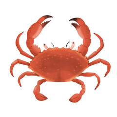 crab illustration isolated on white background